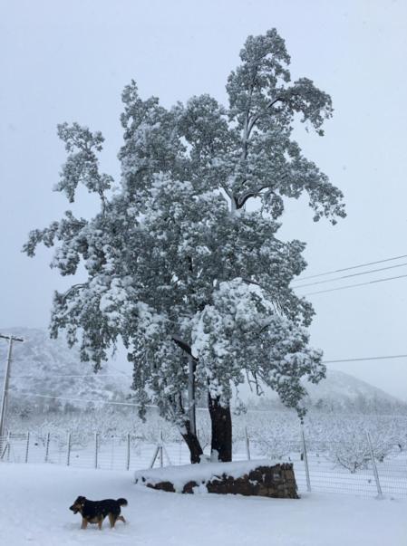 Posada Del Jinete San José de Maipo Buitenkant foto